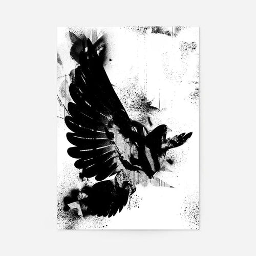 Dove Graffiti Print