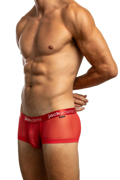Shirtless man standing in front of a white background wearing a pair of Jack Adams Excite Sheer Briefs in red