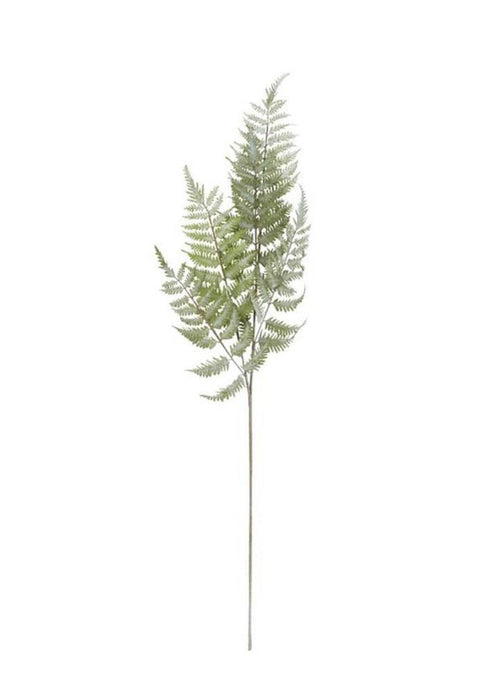 Fern Leaf Stem