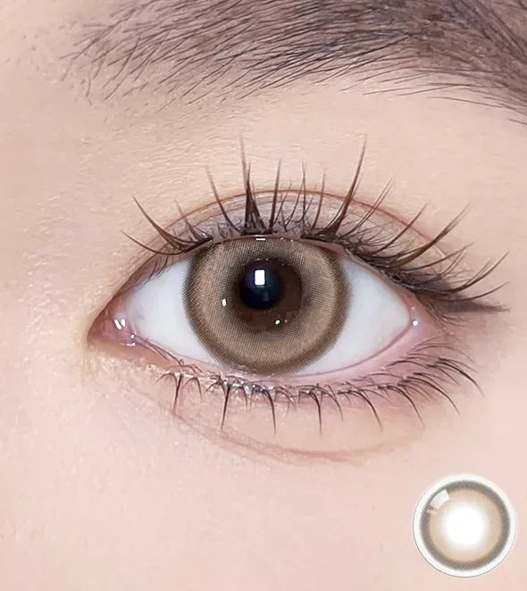 Glint 1day Brown - IM OLOLA