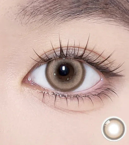 Glint 1day Brown - IM OLOLA