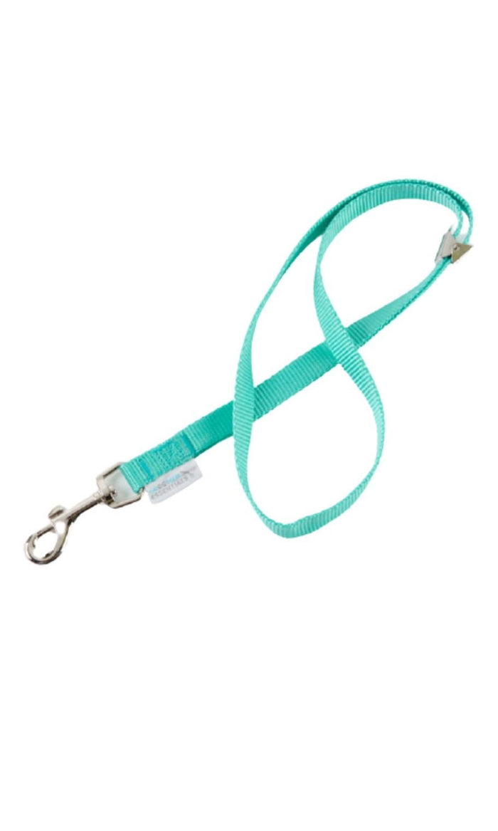 Groomer Essentials 22" Grooming Loop Turquoise