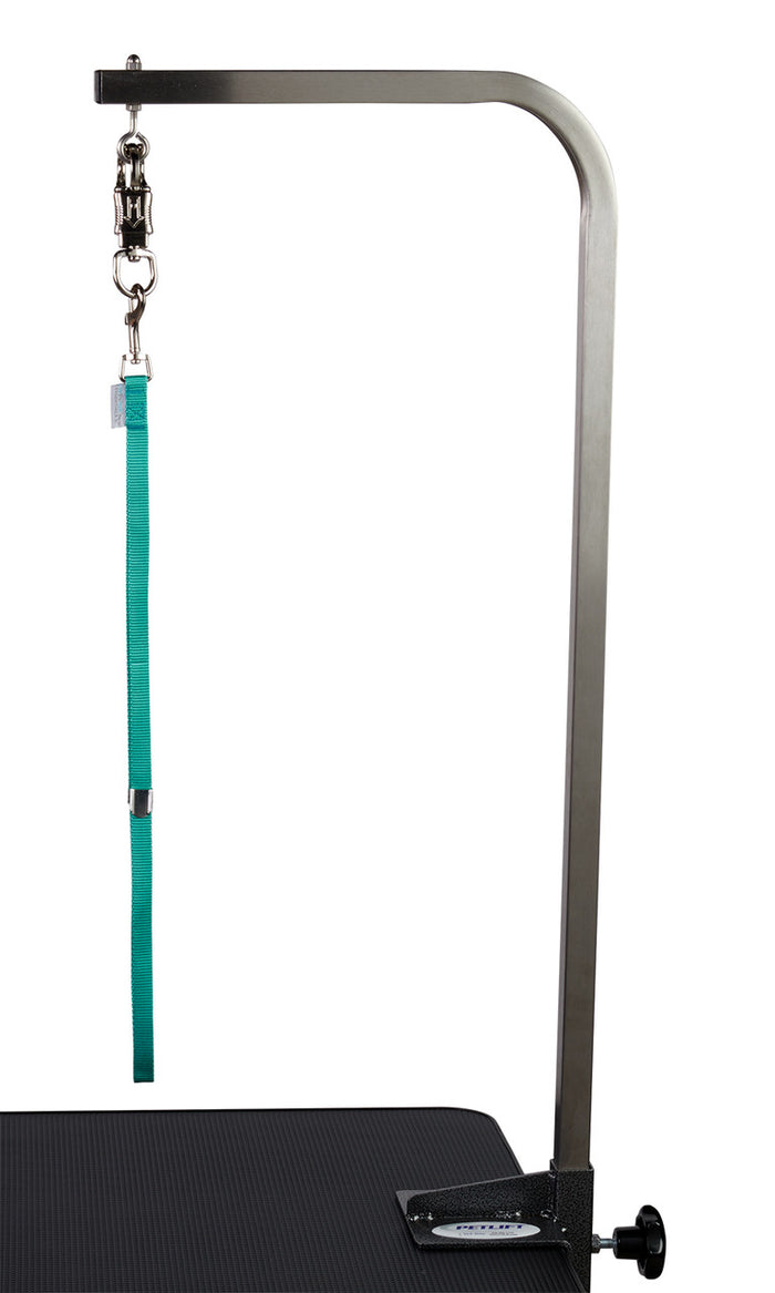 Groomer Essentials 22" Grooming Loop Turquoise