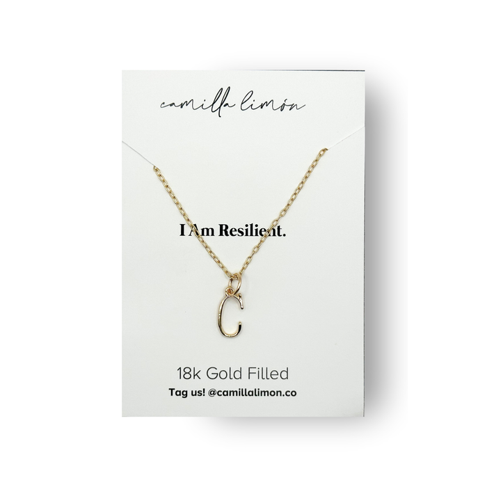 Initial Large Charm Necklace - 18K Gold Filled, 1/2in Charm