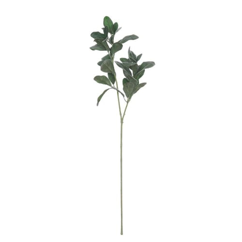 Lemon Leaf Tree Branch Spray