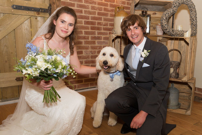 Bride and groom with dog wearing Light Blue Wedding Tie, showcasing handmade groom accessory in a rustic wedding setting.