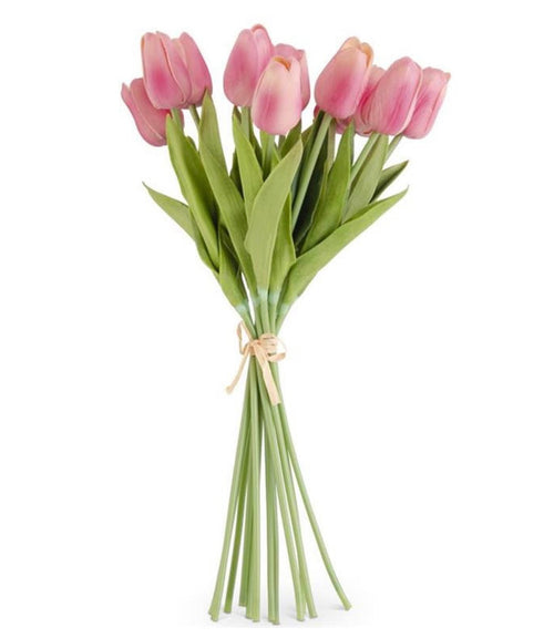 Mini Tulip Bundle
