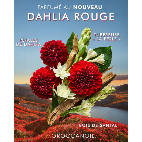 Moroccanoil Shower Gel 250ml - DAHLIA ROUGE