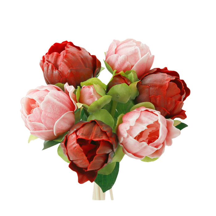 Peony Bundle