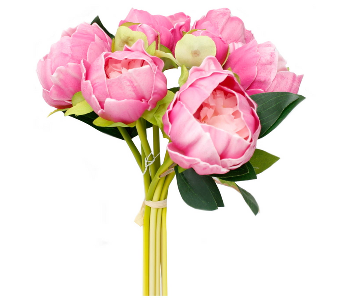 Peony Bundle