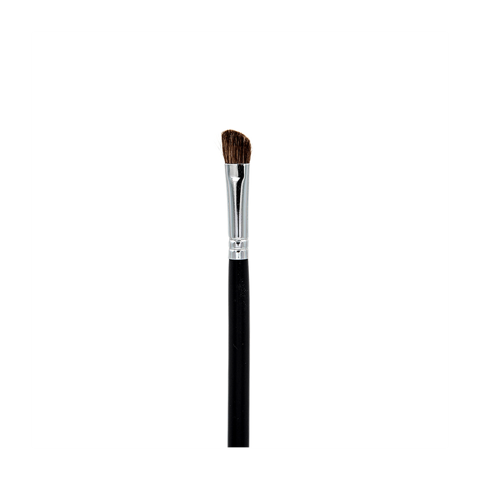 Professional Makeup Brushes