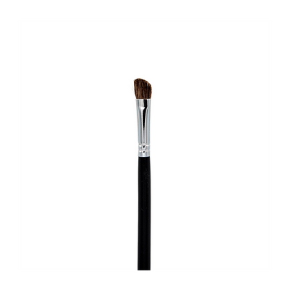 Professional Makeup Brushes