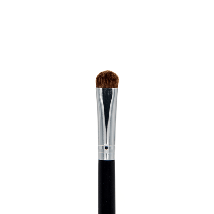 Professional Makeup Brushes