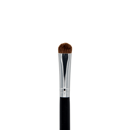 Professional Makeup Brushes
