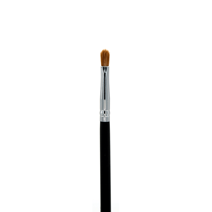 Professional Makeup Brushes