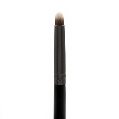 Professional Makeup Brushes