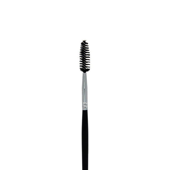 Professional Makeup Brushes
