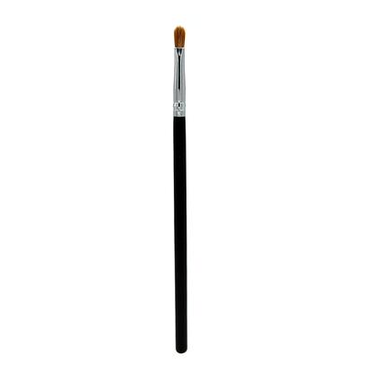 Professional Makeup Brushes