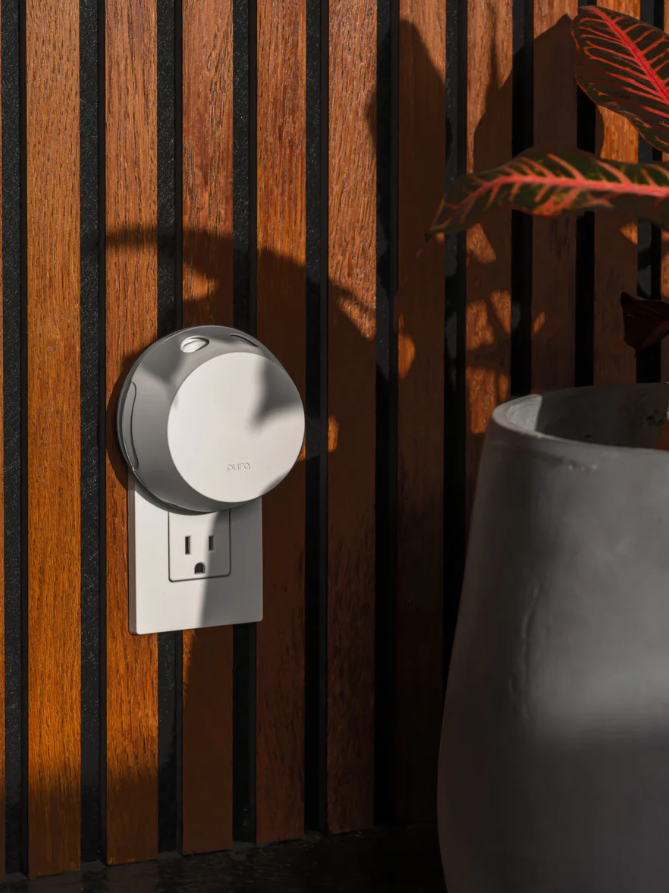 Pura V4 Device Scents in at Wrapsody