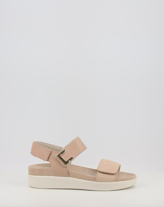DAISY 108700
