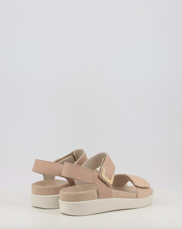 DAISY 108700