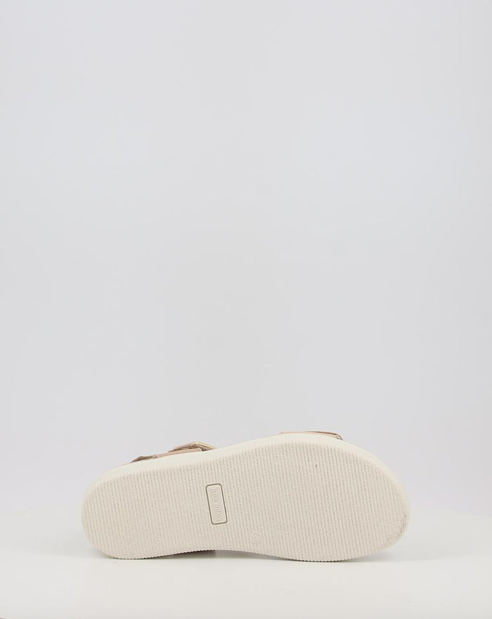 DAISY 108700
