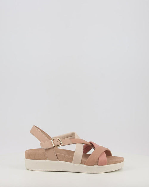 DAISY 108730