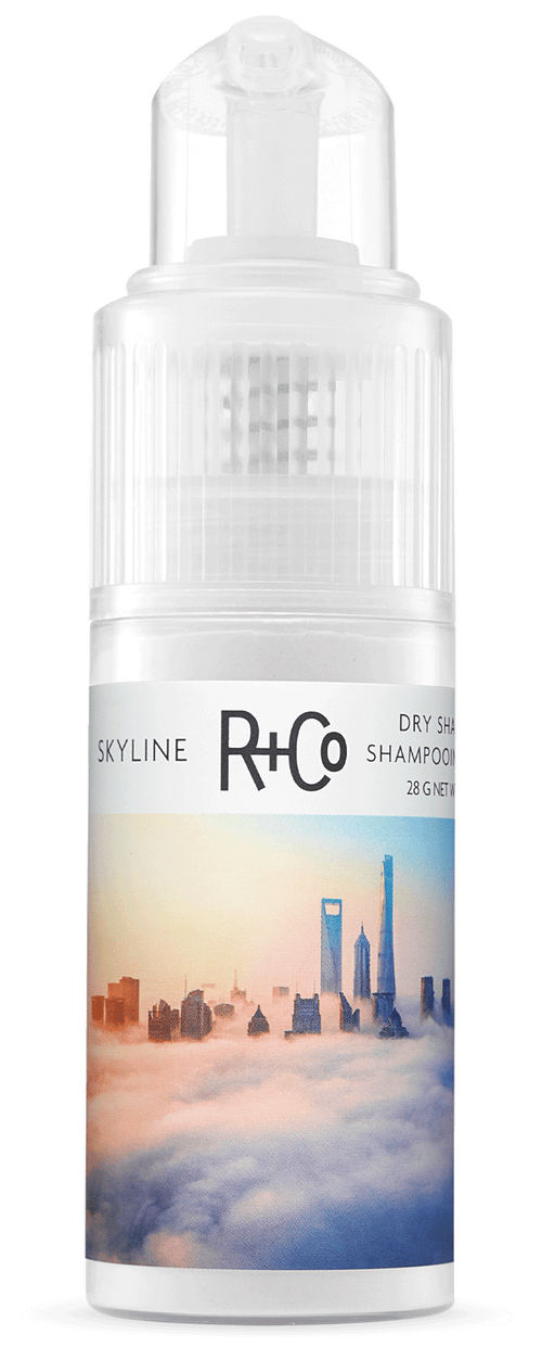 SKYLINE Dry Shampoo Powder
