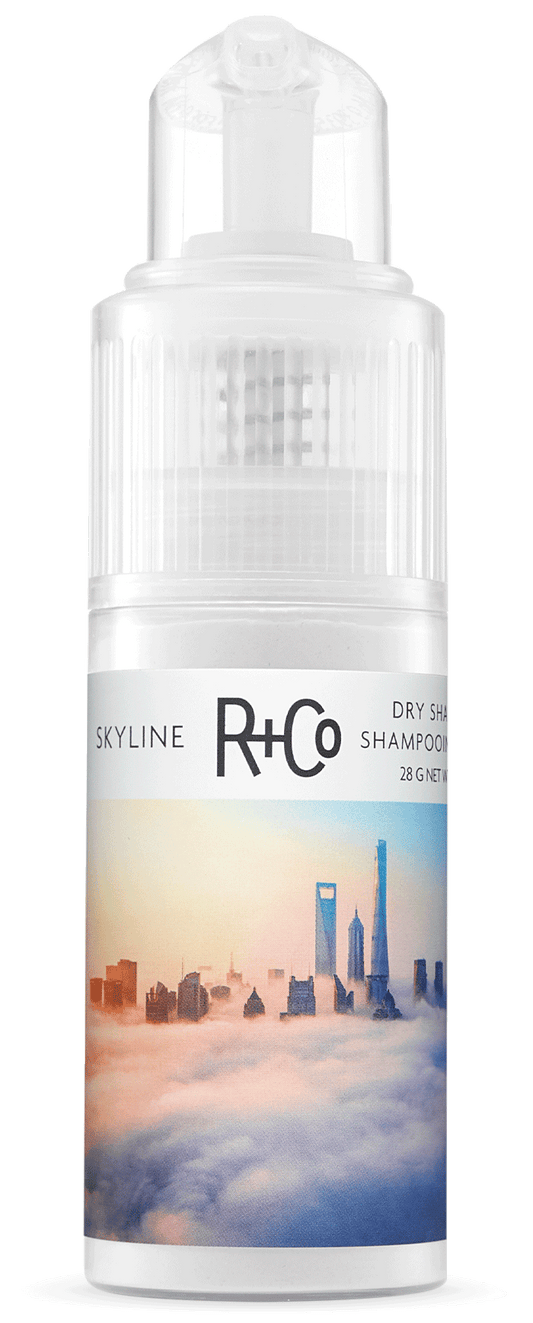 SKYLINE Dry Shampoo Powder