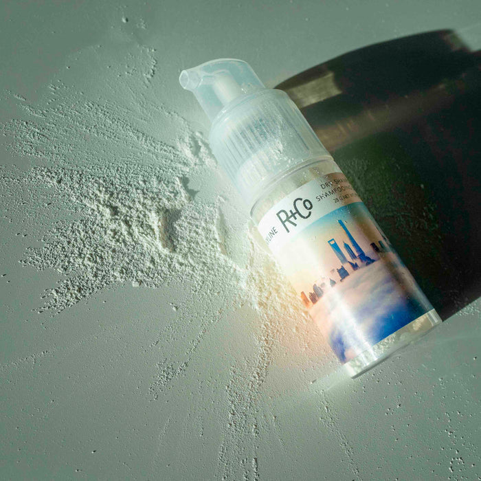 SKYLINE Dry Shampoo Powder