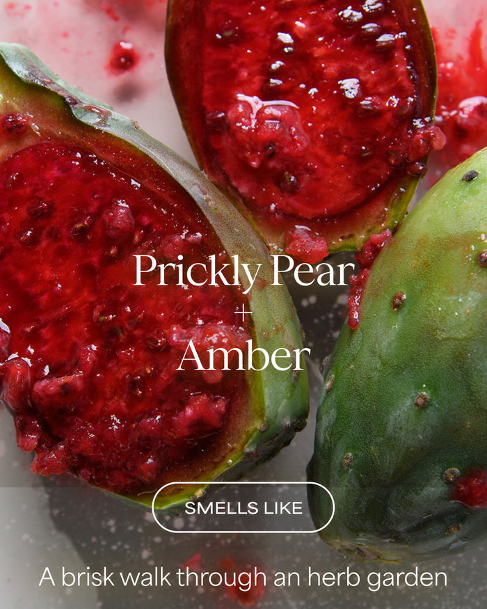 Prickly pear fruit with text 'Prickly Pear + Amber' and description 'Smells like a brisk walk through an herb garden'.