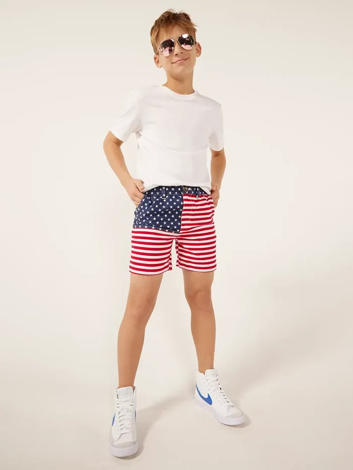 The 'Mericas (Boys) - Image 5 - Chubbies Shorts