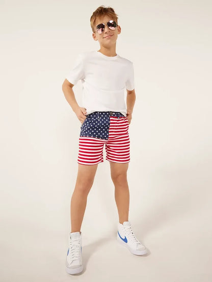 The 'Mericas (Boys) - Image 5 - Chubbies Shorts