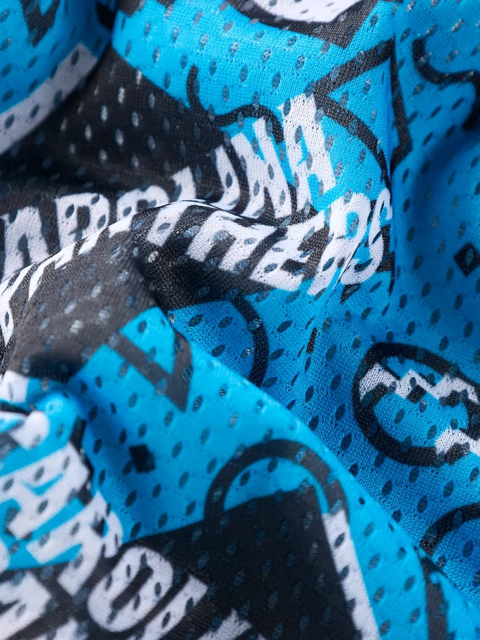 The Panthers Game Day Fit (Mesh Short) - Image 2 - Chubbies Shorts