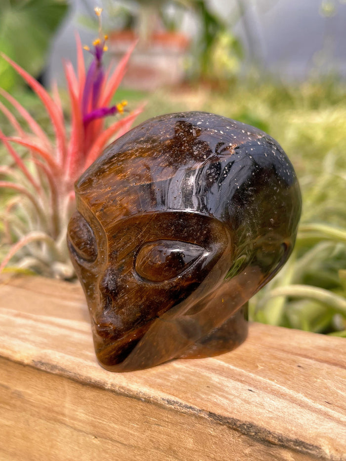 Tiger's Eye Alien Skull Carving