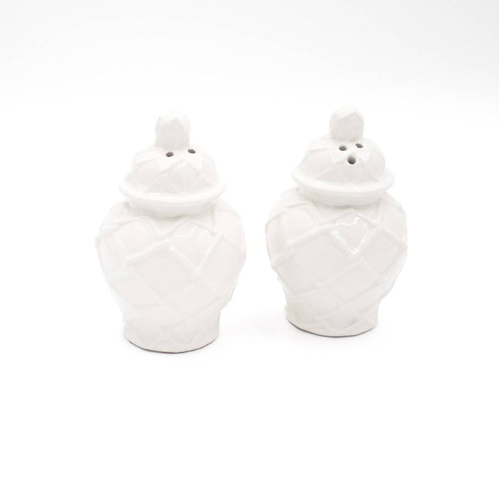 White Textured Ginger Jar Salt & Pepper Shaker Boxed Set