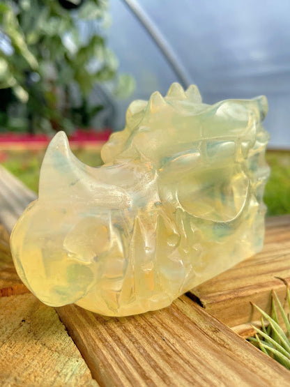 WYSIWYG- Opalite Dragon Head