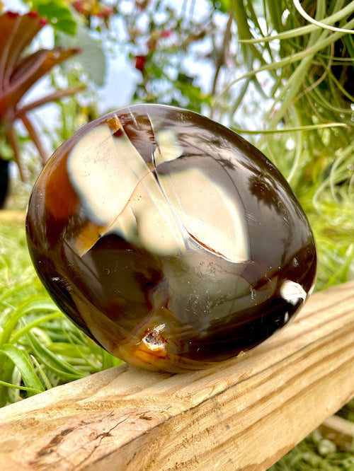 WYSIWYG- Orca Agate Freeform