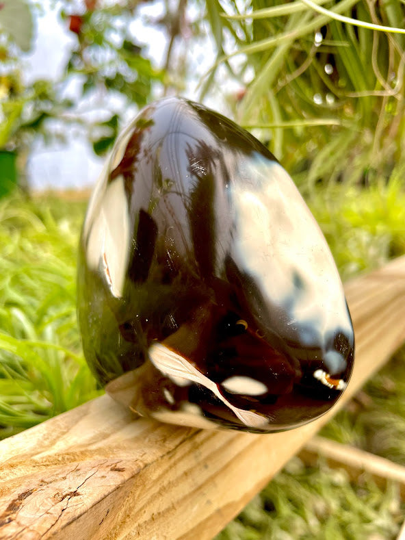 WYSIWYG- Orca Agate Freeform