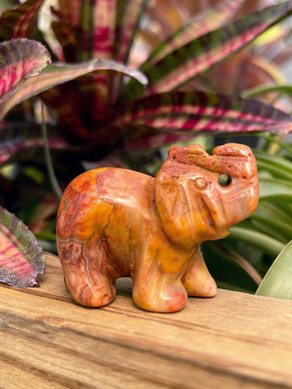 WYSIWYG Imperial Jasper Crystal Elephant Carving