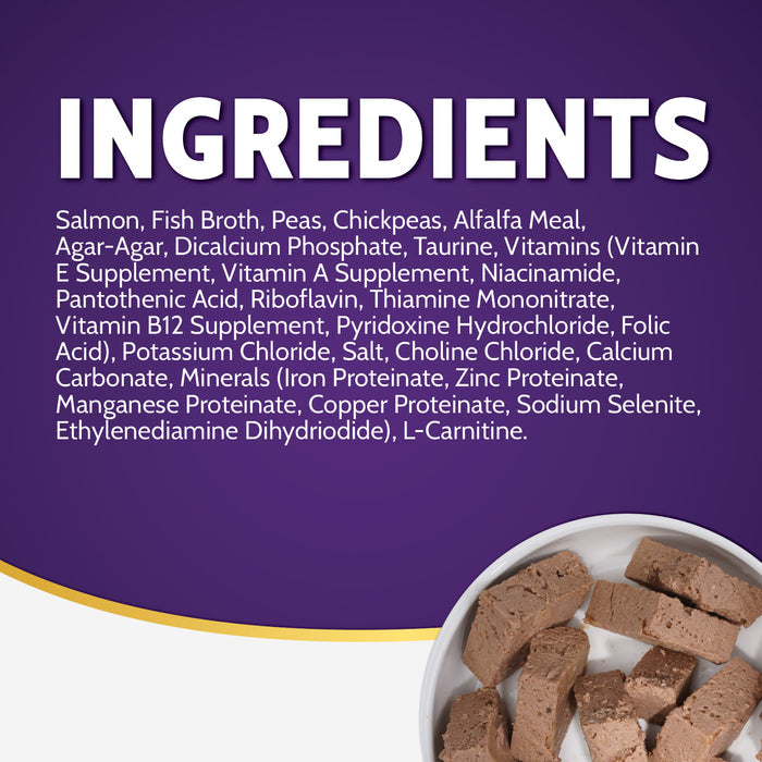 Zignature Salmon Canned Dog Food Formula